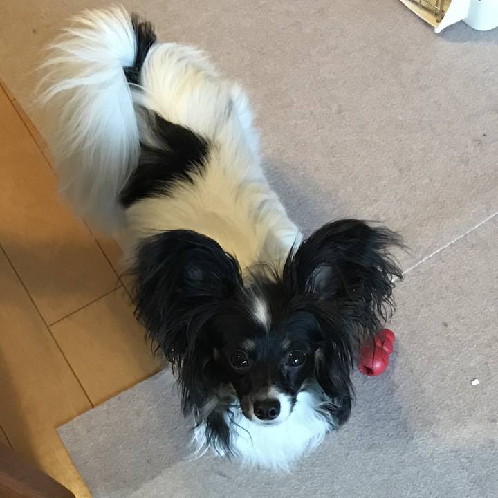 898ca12d 67df 4aa7 9a34 b0d8e1545cc0