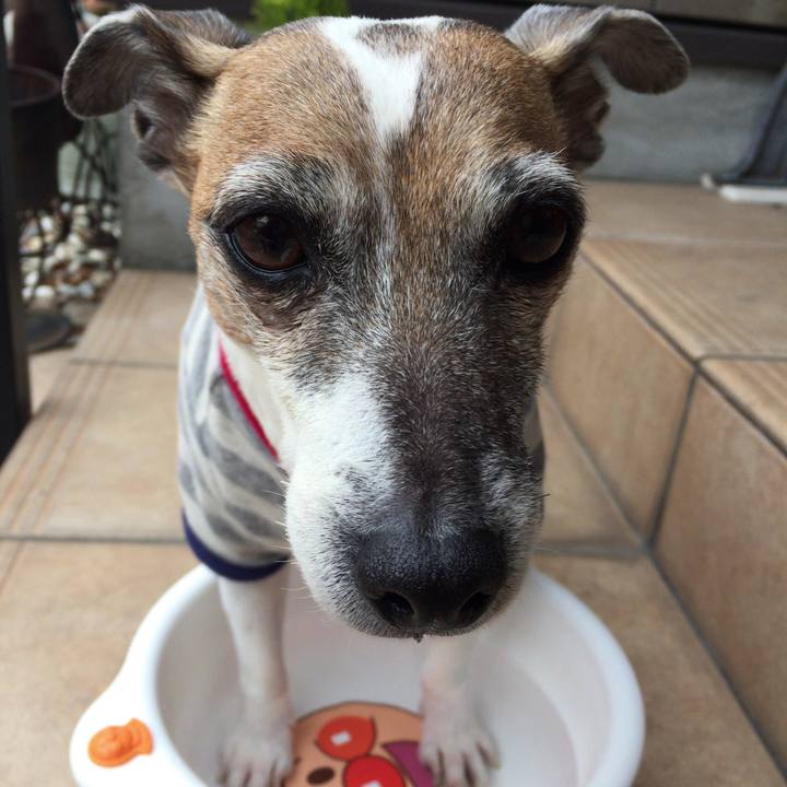 898d13de d497 45e9 b50d 95427a0c17c7