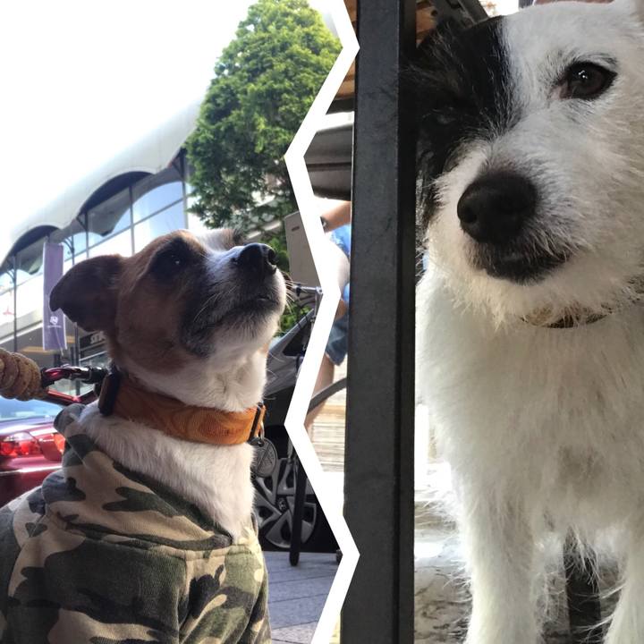 898d3983 bc10 4d42 b08b ff0d00d02de9