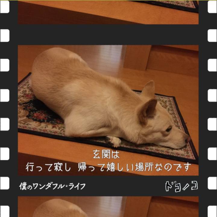 898d9cd3 3c06 41f8 8ea5 af0f6eccdc7f