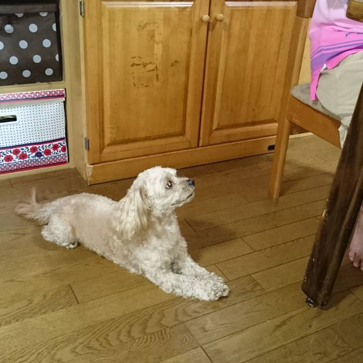 898db751 4549 432b 8aec 121fb8e13a0b