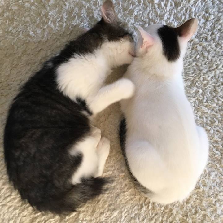 898dc9af a802 4ad8 bafc acb5c1e85c86