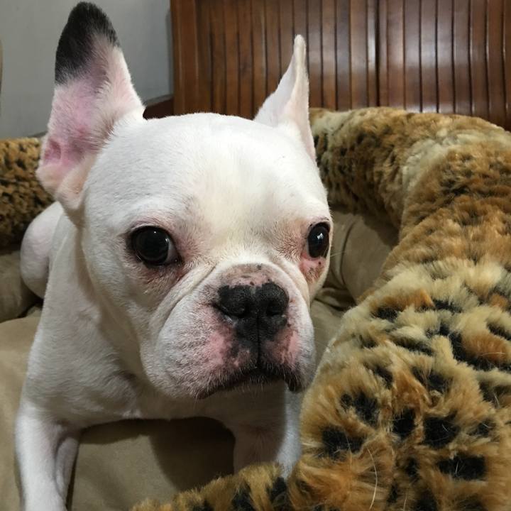 898e4bbc bb2e 48fc 8f9a 2b5b471160d9