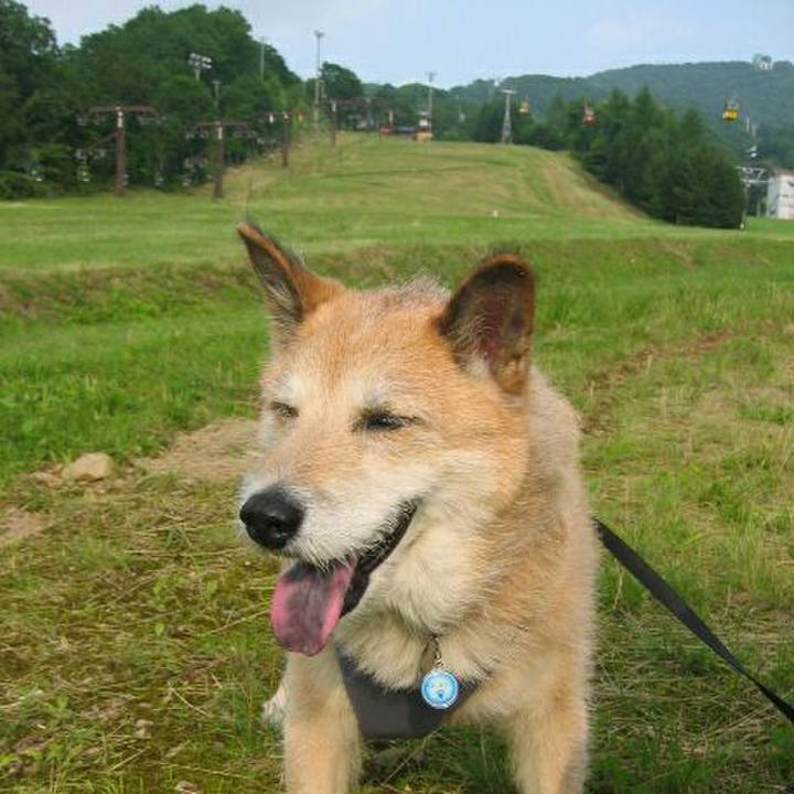 898e64e9 aa75 4797 9431 9d9c770c9d45