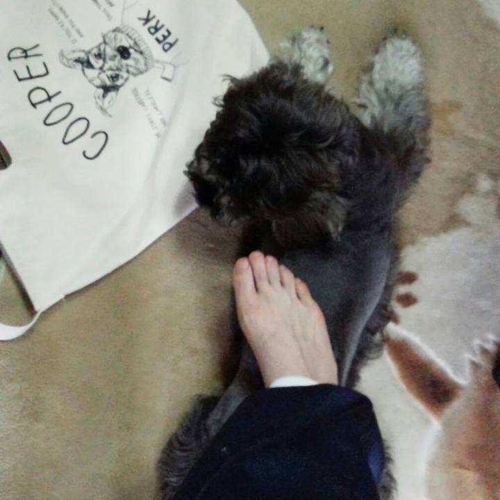 898f2c7a 48aa 4d08 8eb9 245174300c75