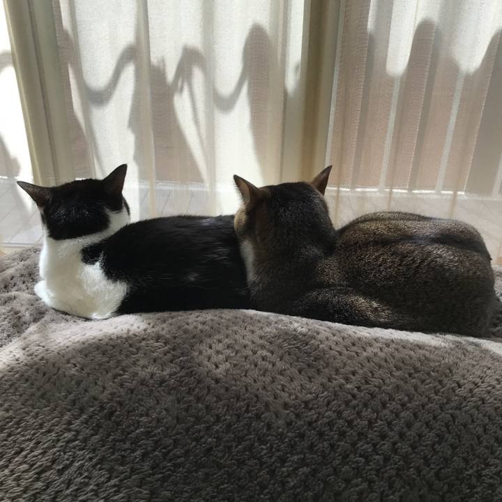 898f9d33 0306 4396 ad39 7ef99083dacf