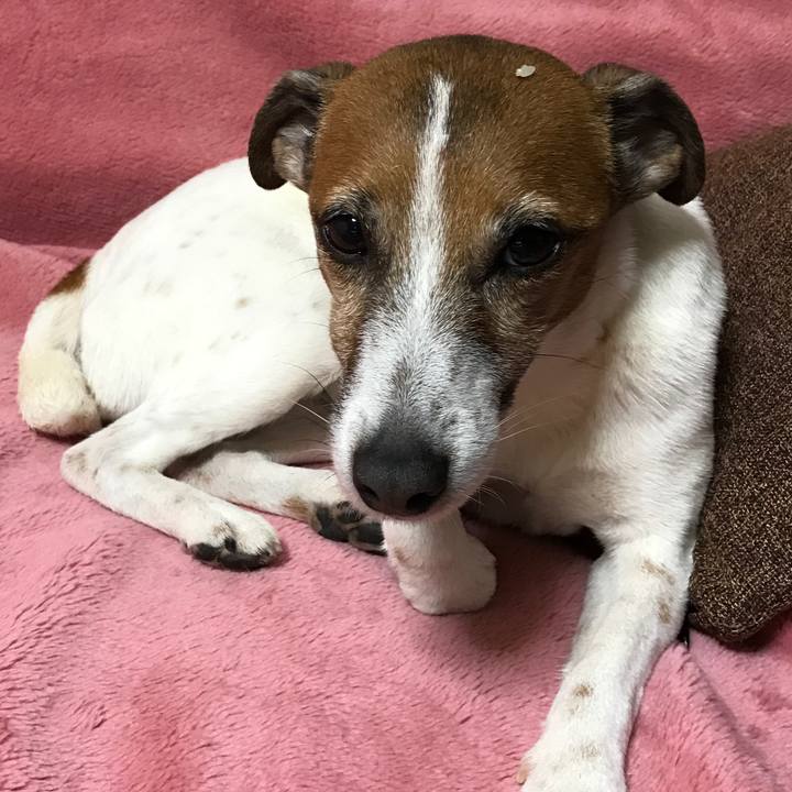 898fda7d ec7f 4c4f 95ec 8487a37d7b4b