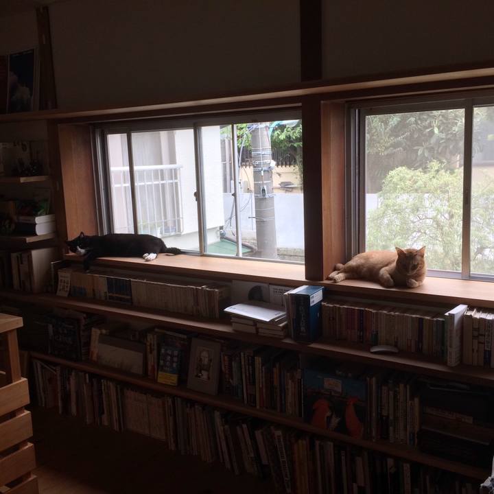 899054d0 7a6a 421b a404 b56e6c315353