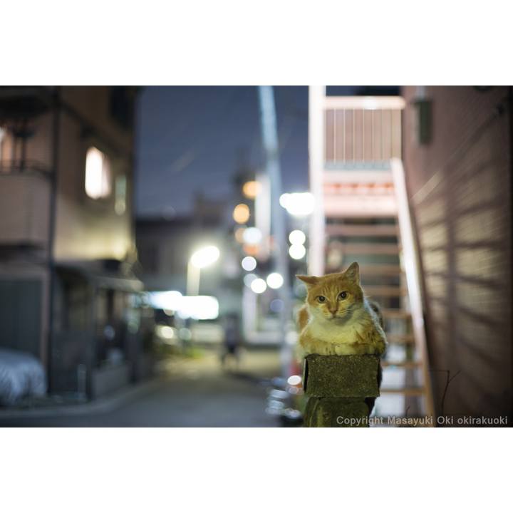 8990a8c5 766c 4b4f 9ca5 3e525267f101