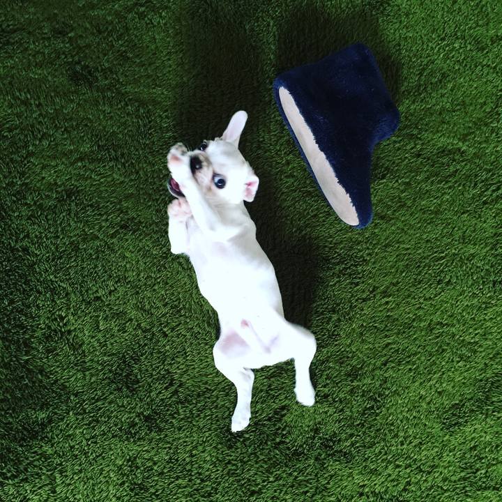 899135bf 0997 4ea5 ab30 9739508ab0b5