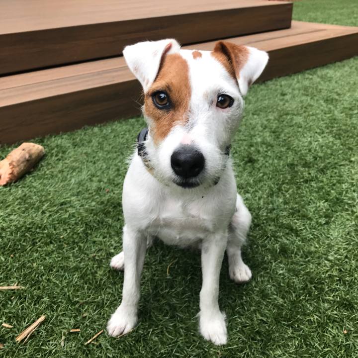 8991c90c 79d6 4a5e ac97 dc13075aedab