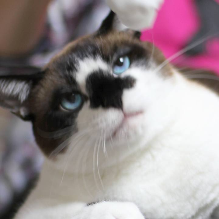 8991effb d8f5 472c 8f04 db73230ace9a