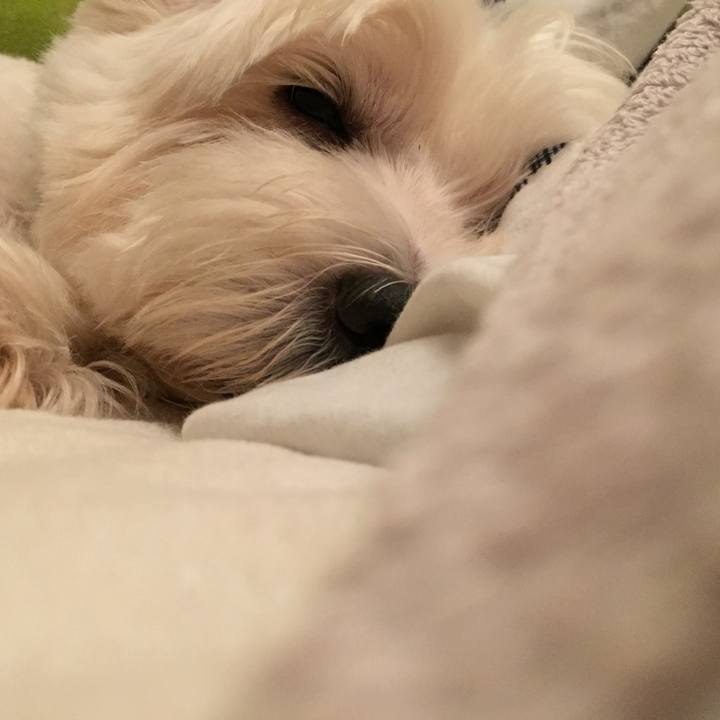 89920a96 7e14 4450 91d7 e405774711e2