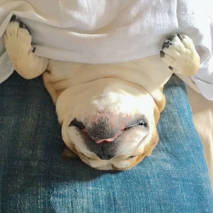 8992673b c72b 4062 80ae 04f8229430bd