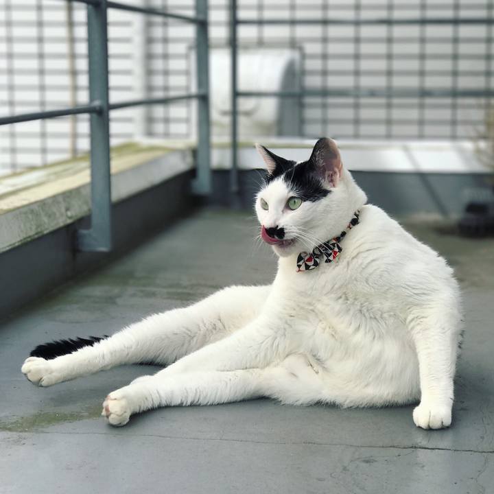 89926e5a b5c4 40b0 8762 f666d53aacf0