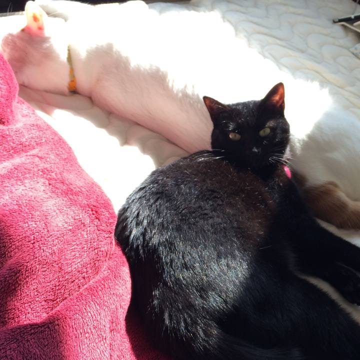 8992b11d b17f 4d02 b5d6 1995975aecb8