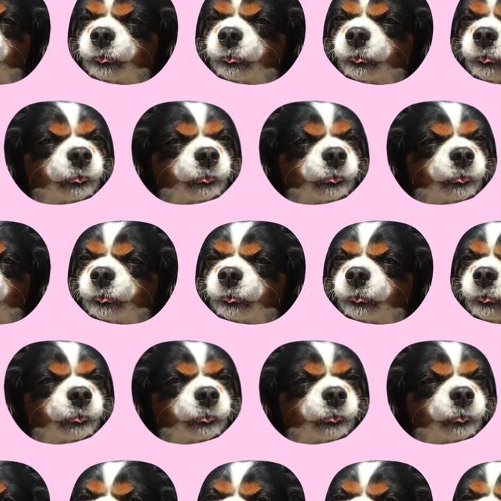 899314ac ccaf 406b a337 73a0e790dd37