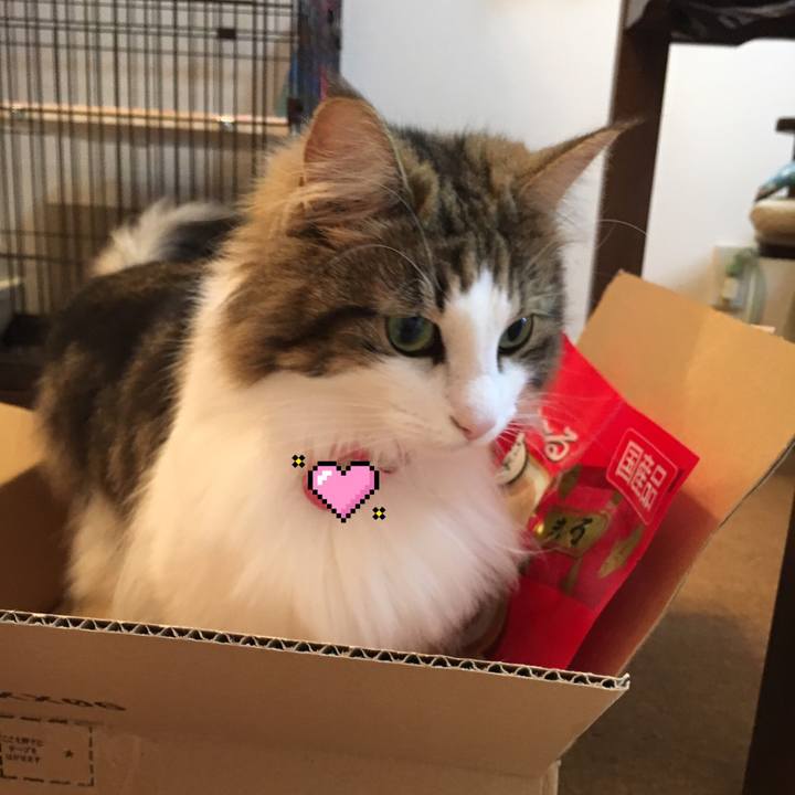 89933627 2915 4ba7 8837 2b863b4aebbf