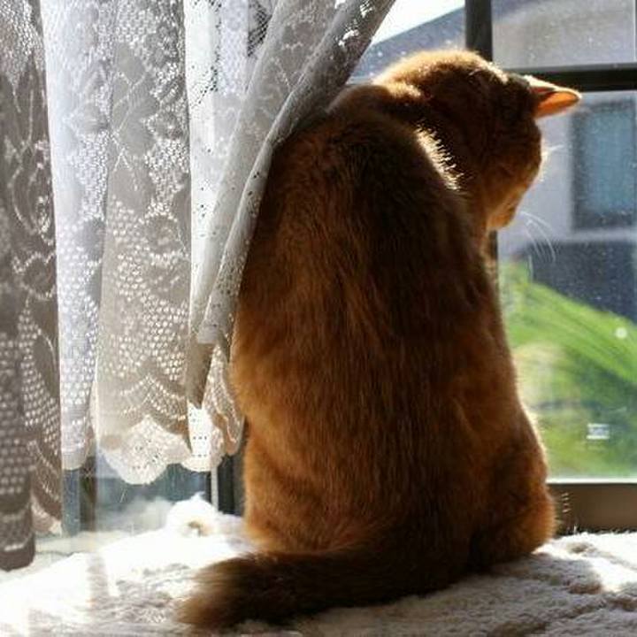 8993623f e288 4932 a86e 909c18519c90