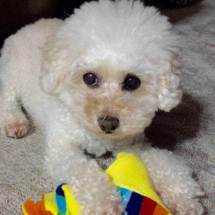 8993a83e 27f0 4380 8e47 fa544525bdf5