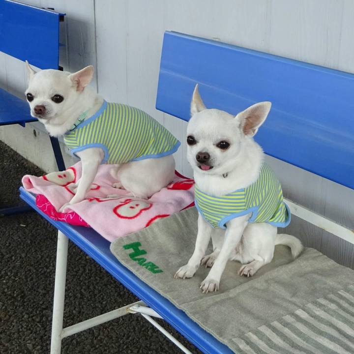 8994687b 6dd2 48c1 8934 49a0e6fa18e7