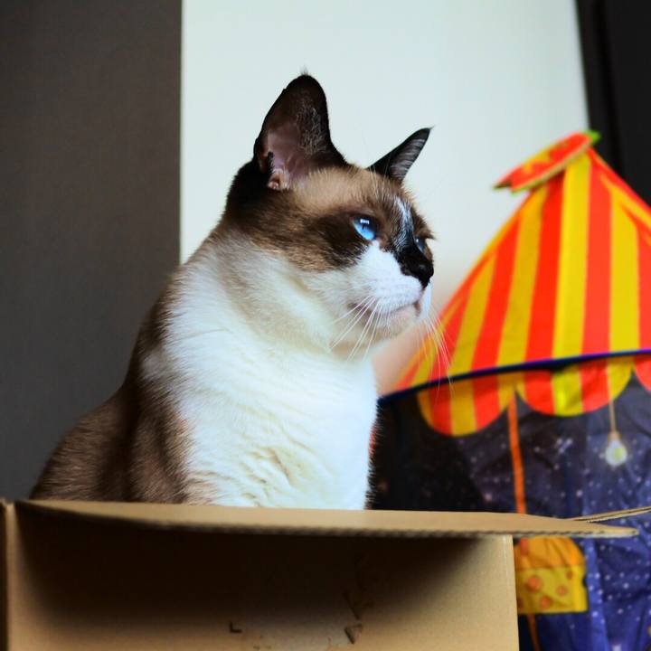 8994edd8 0c59 4cd9 be14 3e4d3f8c21a1