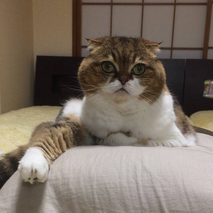 8995286d bb87 45b1 802d 2a58b13531de