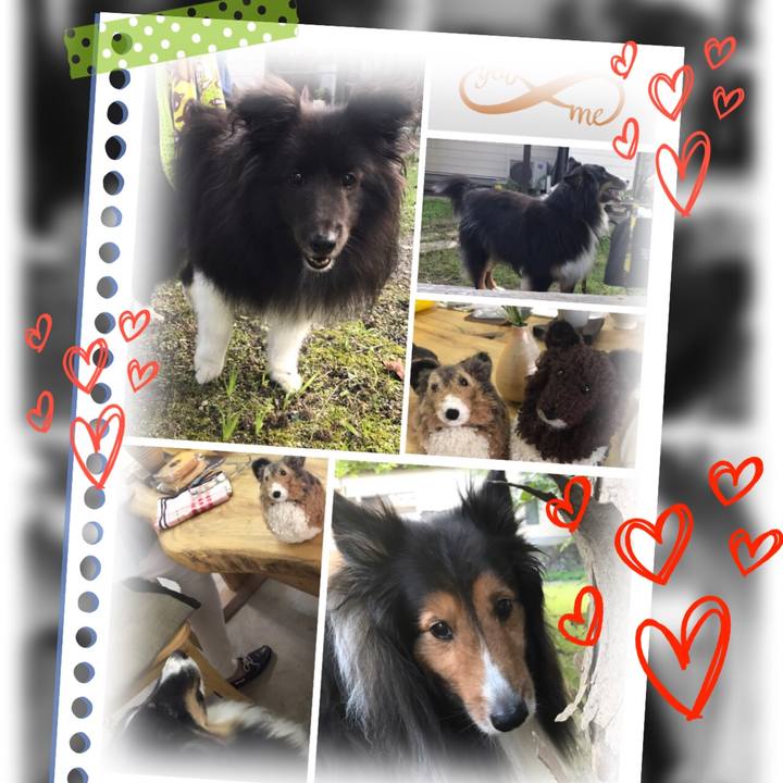 899596a1 fe32 4249 9b4d 03c61a5ea0f5