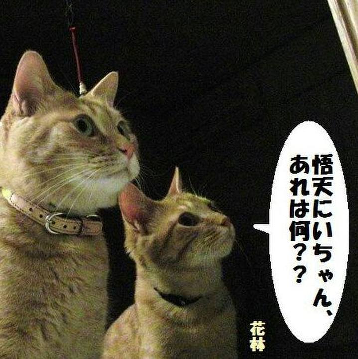 89964fa3 80c7 46af baa5 716098c76c34