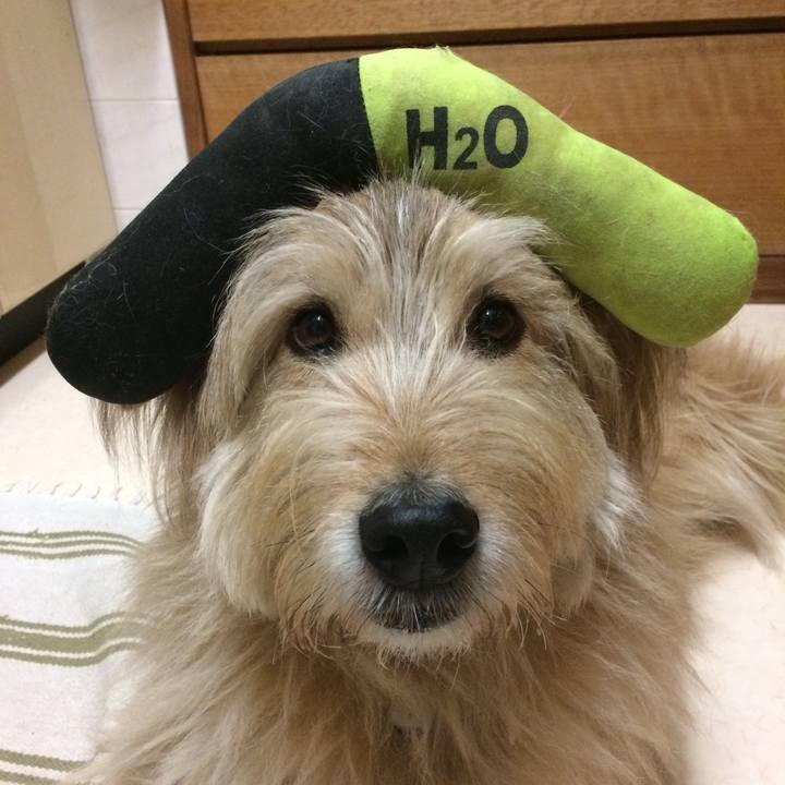 8996a450 5045 4567 af94 17fd4f760e03