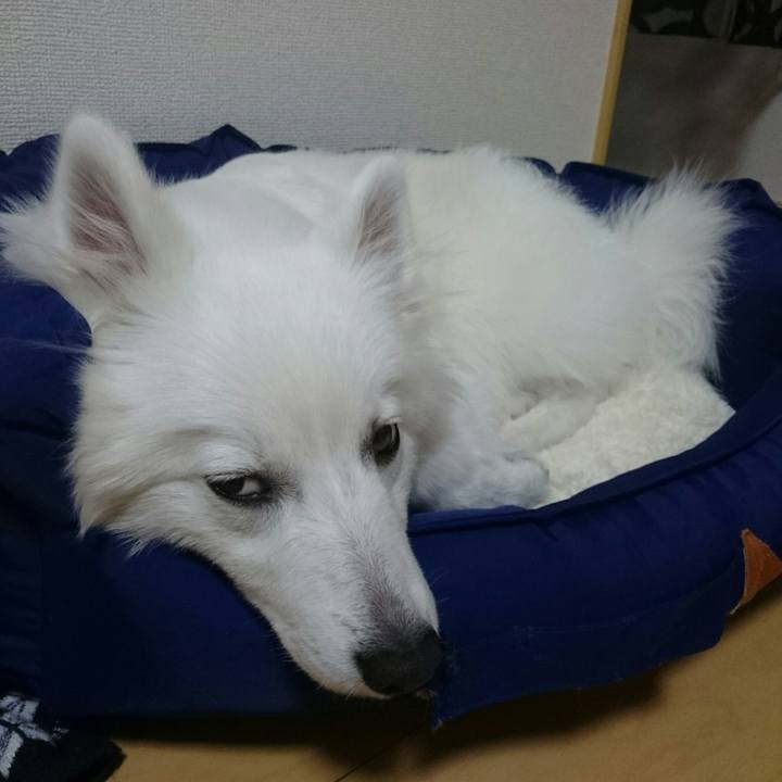 8996b5e1 5cd6 4431 8e1e b6a15e4972ab