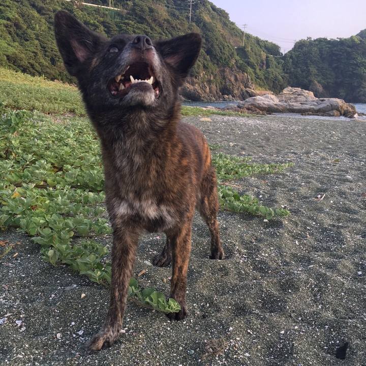 8996c772 4bd0 458e 8ee5 72616aaffb5e