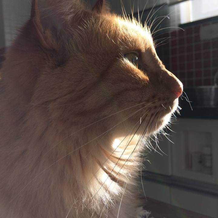 89972187 428b 4c7c a763 e7c70728e550