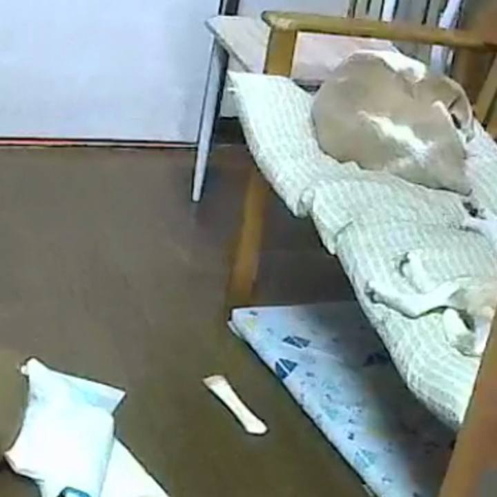 8997371f e241 42ab be1c 10b8c6874ffb