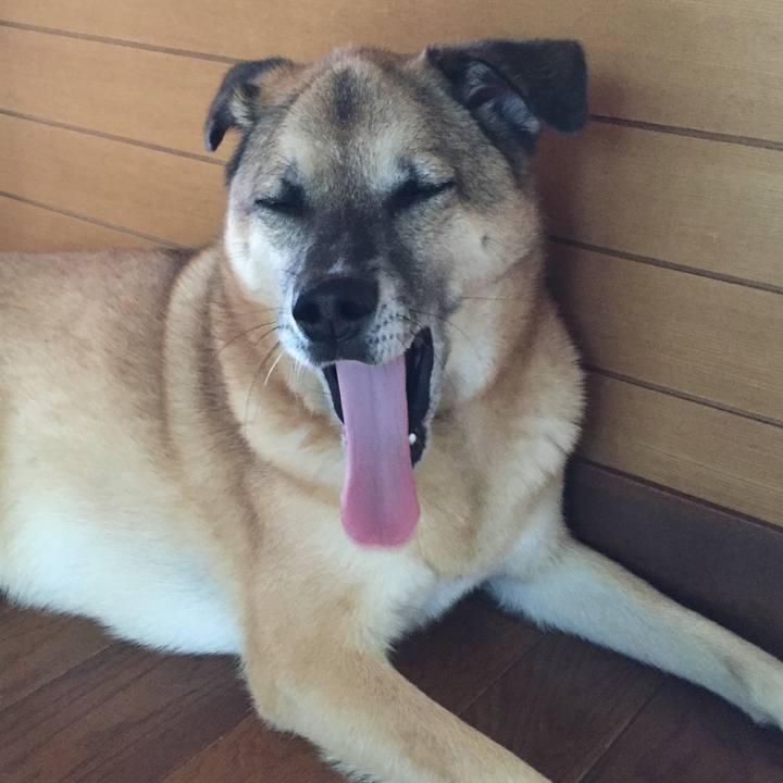 899746c1 f556 4c97 8de5 2a8f4c53f4be