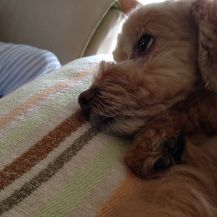 8997602f 9992 4f34 b4ea 19c1b3887e30