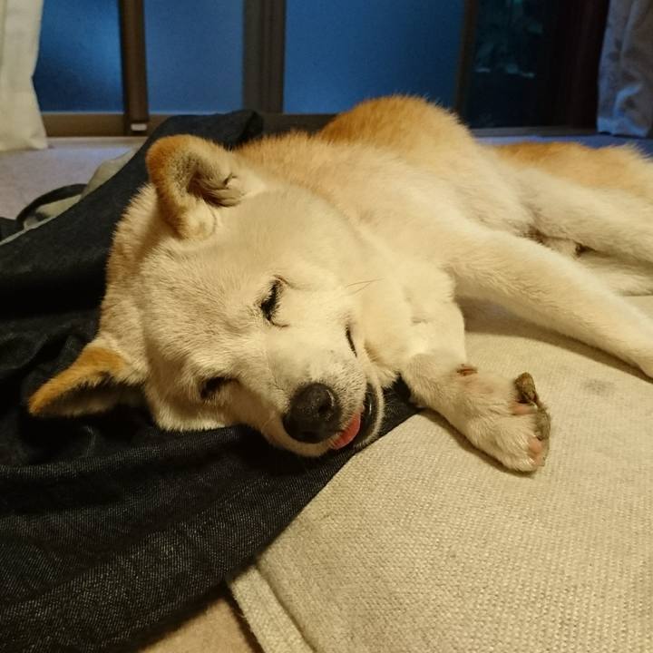 89979ed0 8992 4415 a95c 2e2eba45060b