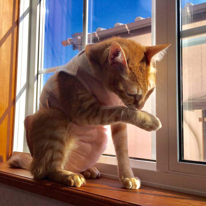 8997ae06 5454 40e7 a3e6 cdd61fefbc31