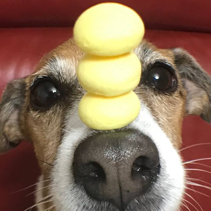 8997c4b4 5c56 4da4 b8ed 9623473f1bbd