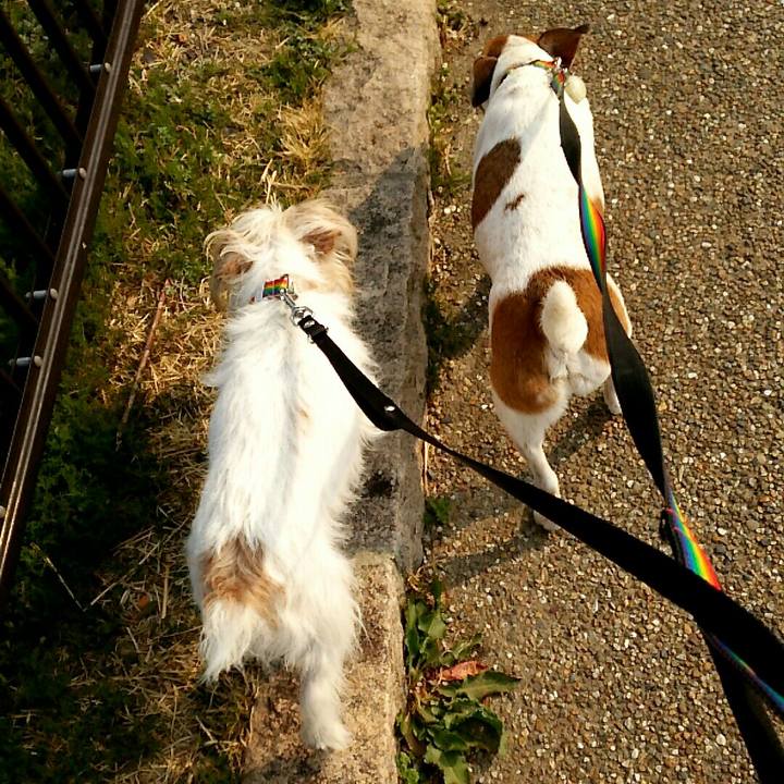 8999113e 09d5 490a 8e4e 0b6df5ed9c1d