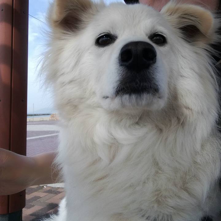 8999a2c0 e4ec 498b 91c6 a92a4ada3ebc