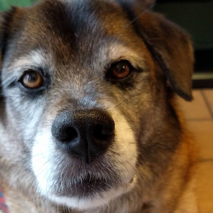 8999b996 a052 4d2b a9fe b81613d415dd