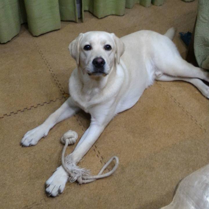 8999c865 b11e 4f81 a79c 724c5b1fbe5b