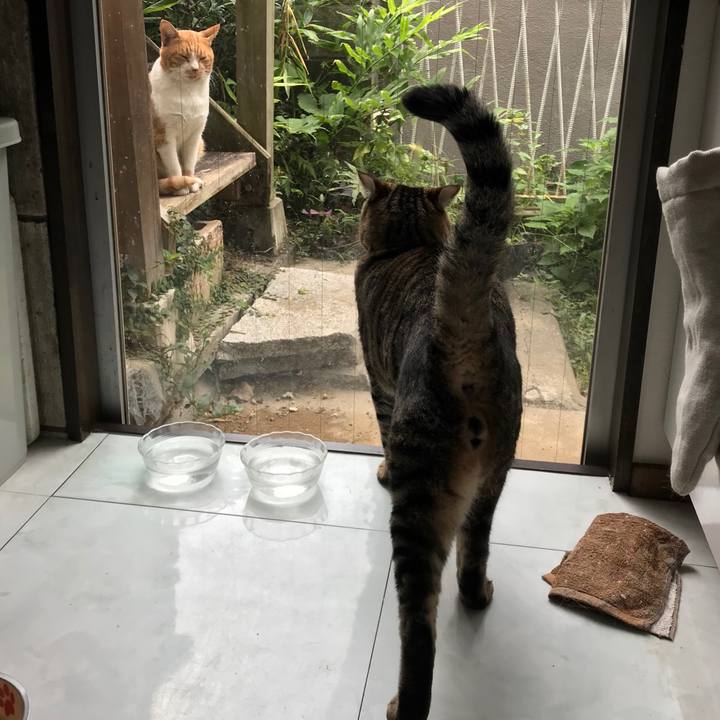 8999daff 9ac2 432e adbf 8129554d1a75