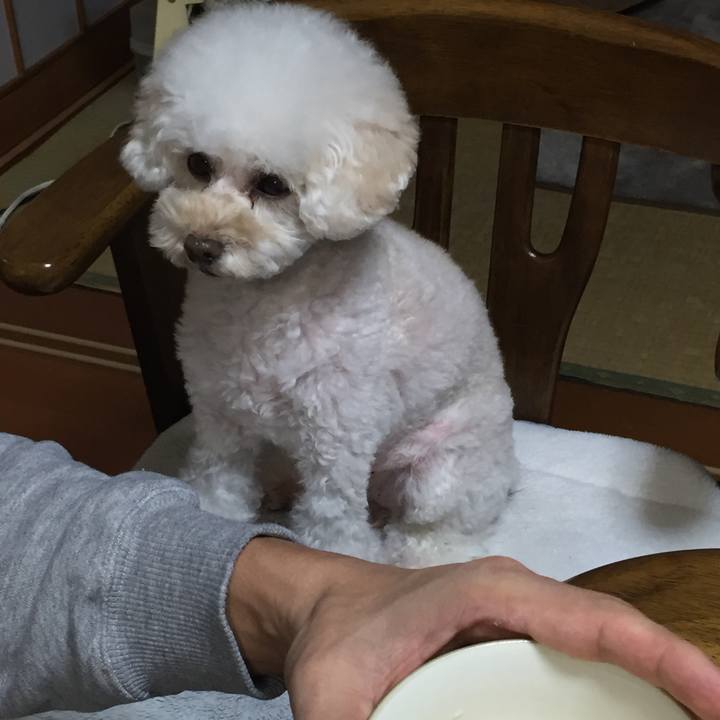 899a1fb1 720e 4933 88e9 b761394189e9