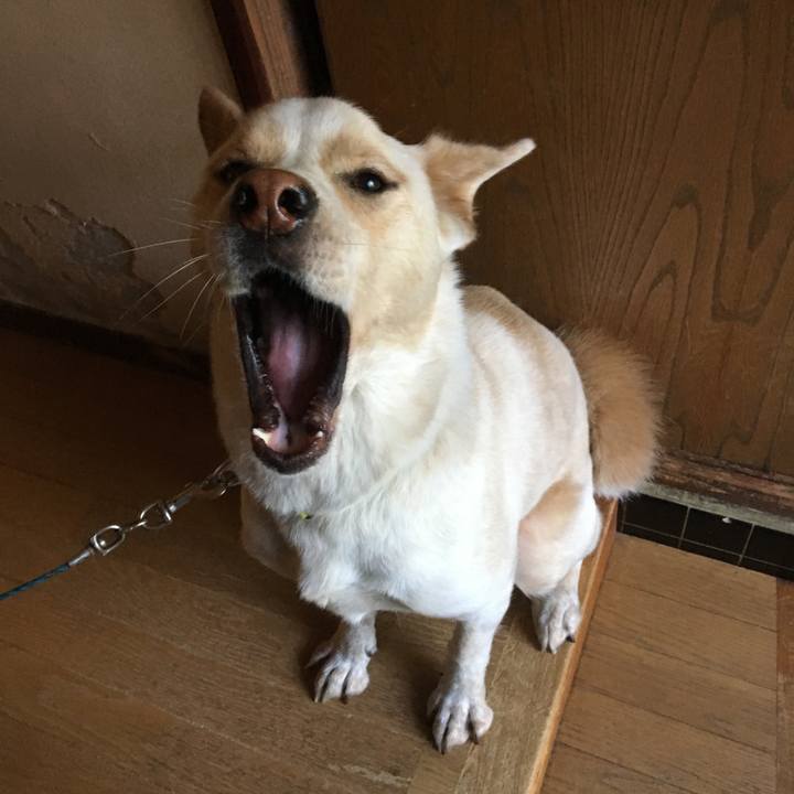 899a6619 fa46 4e91 b582 7851ef9fde10