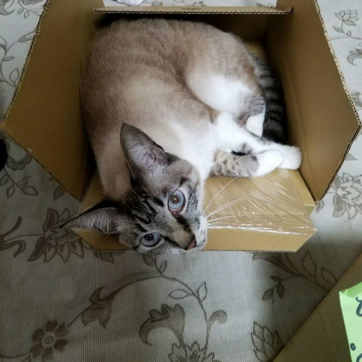 899a6d5f 15b5 40d6 8e6f f3cacf264467