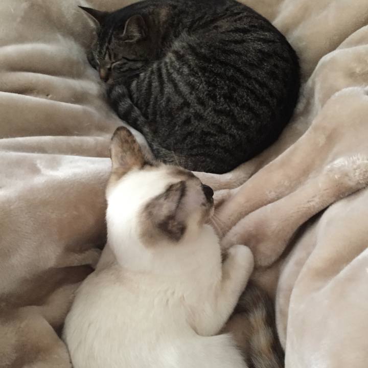 899a7514 9352 4aba 8014 03cbdc1cf36e