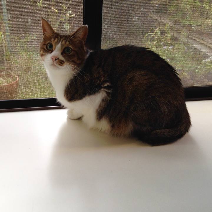 899abc10 3aa4 422c a41b f89517177e64