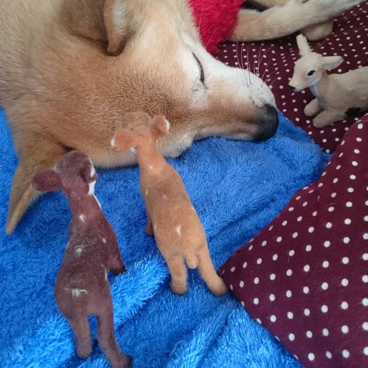 899aed22 8725 4c89 9fc4 69f2a039d48d